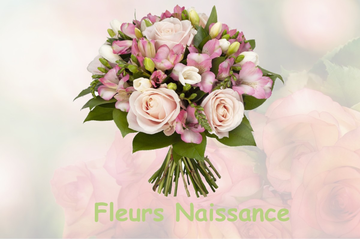 fleurs naissance BARISEY-LA-COTE
